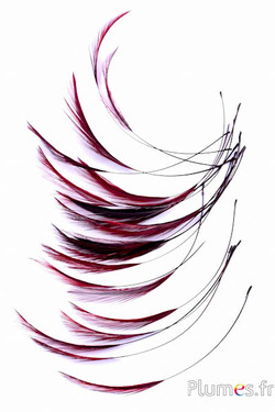 Hahn - 10-15 cm - kaffee-bordeaux